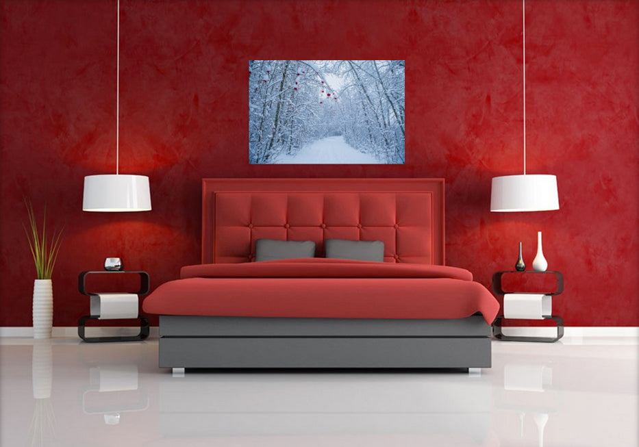 Snowy Path 24x36"