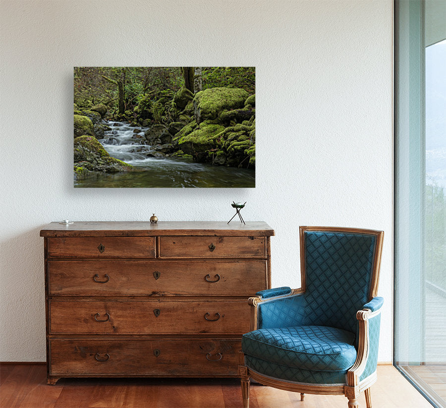 Mossy Stream 24x36"