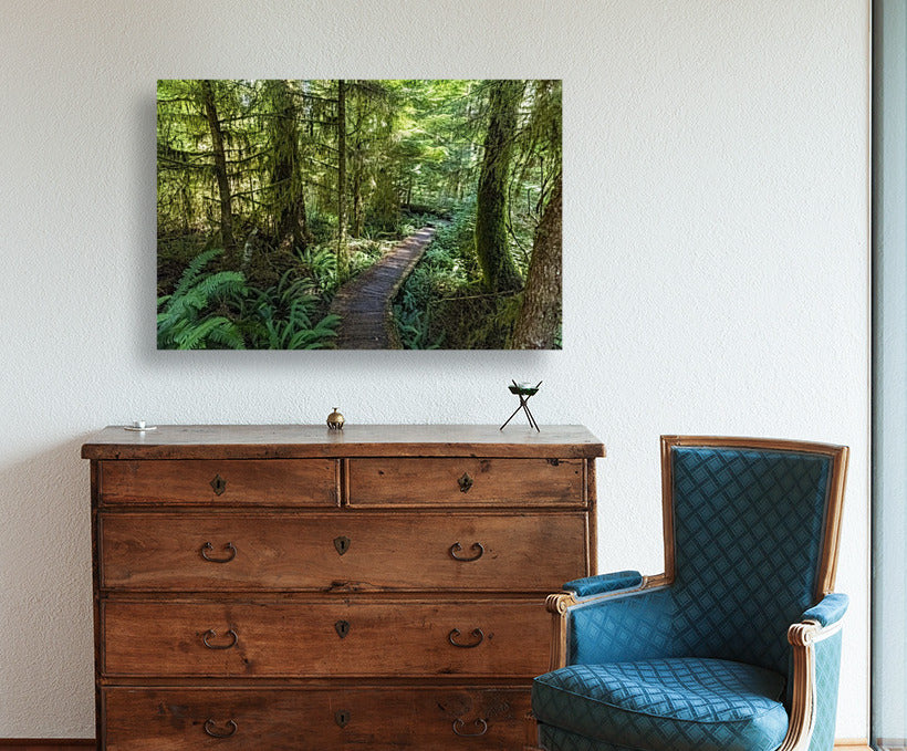 Forest Boardwalk 24x36"