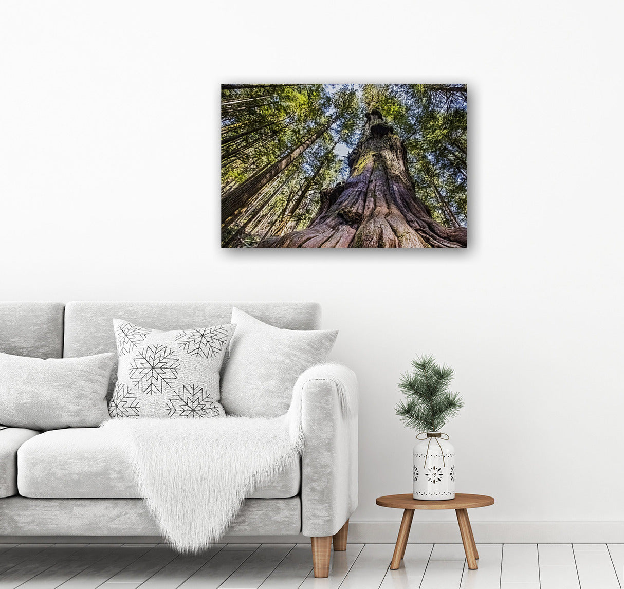 Giant Douglas Fir 24x36"