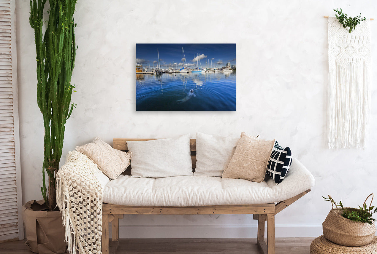 Harbour Seal 24x36"