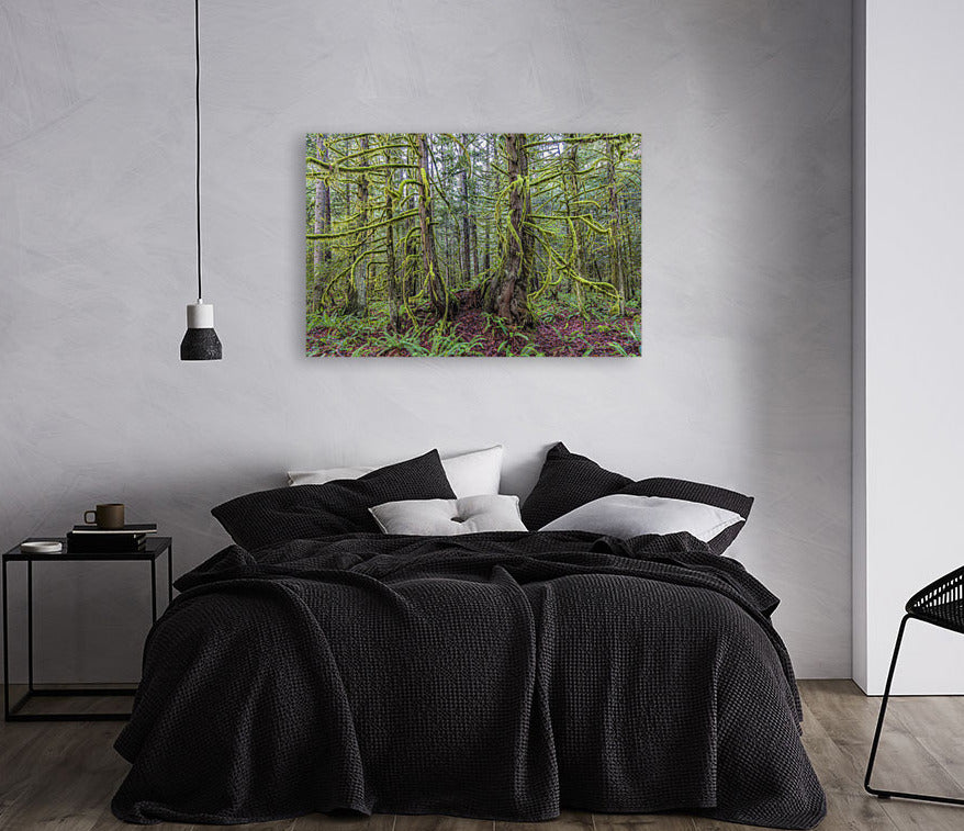 Mossy Forest 24x36"