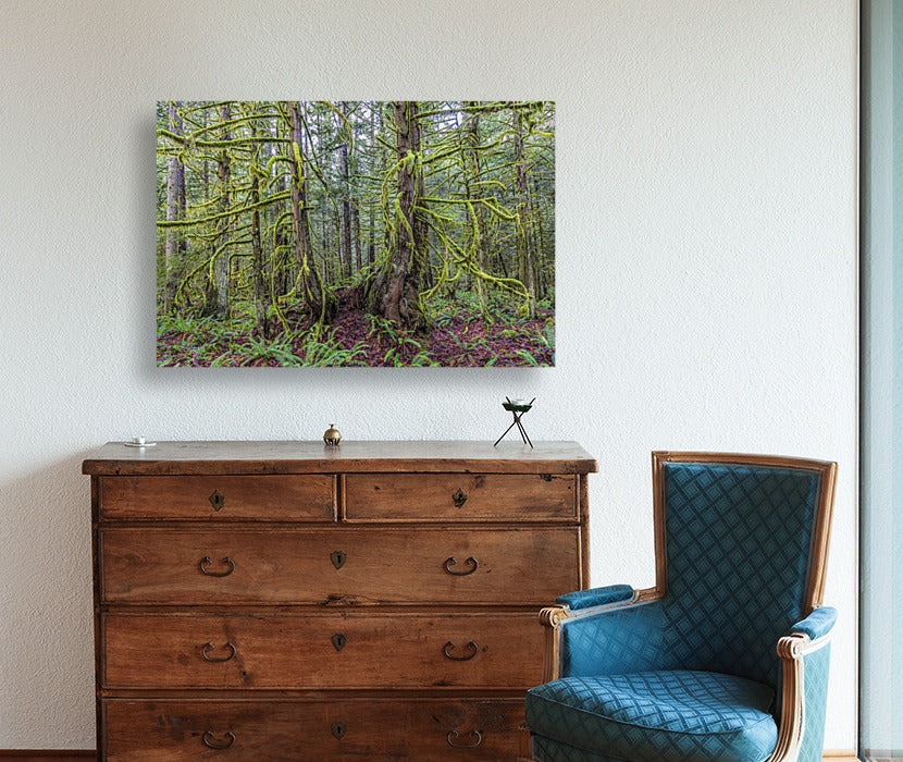Mossy Forest 24x36"