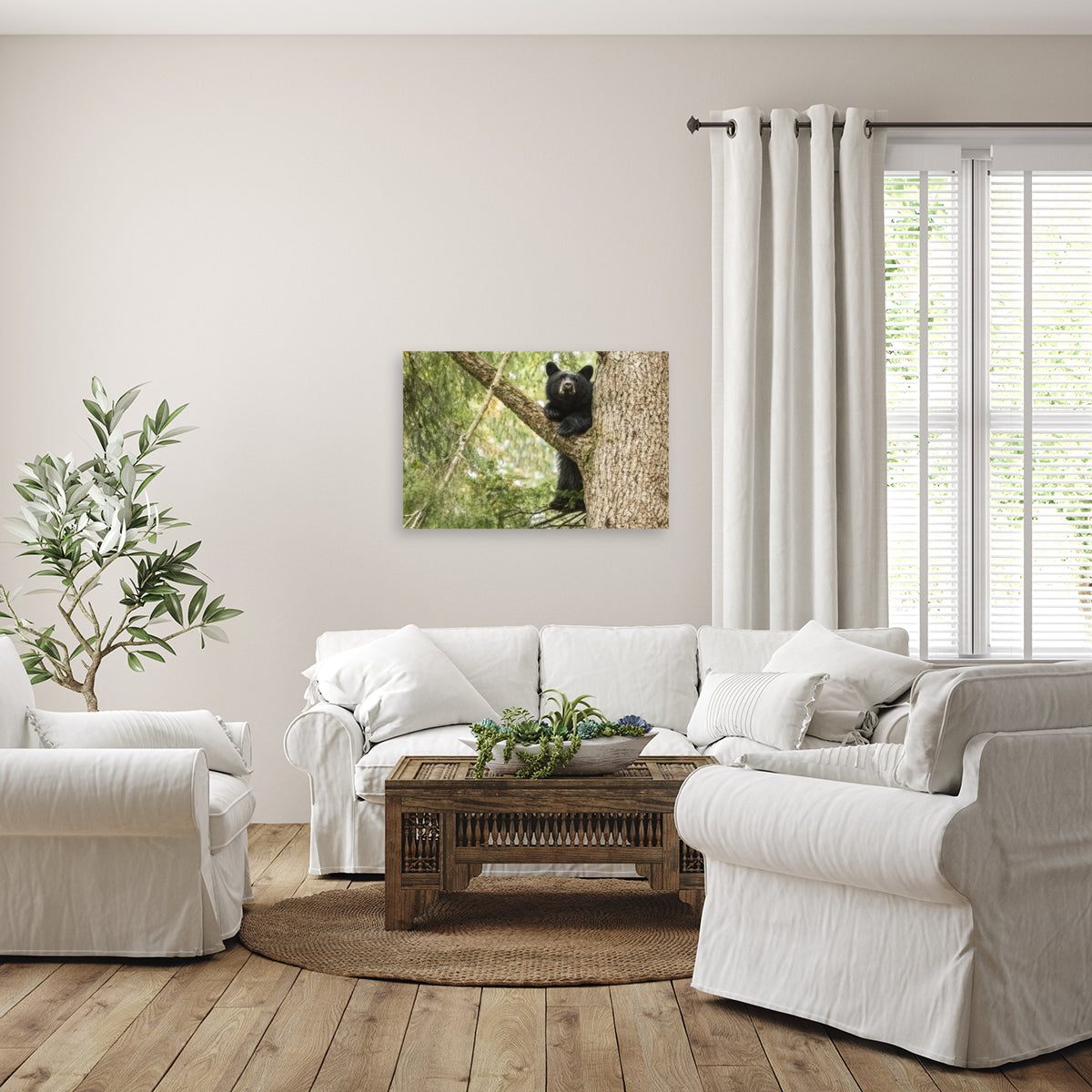 Black Bear Cub (landscape) 24x36"