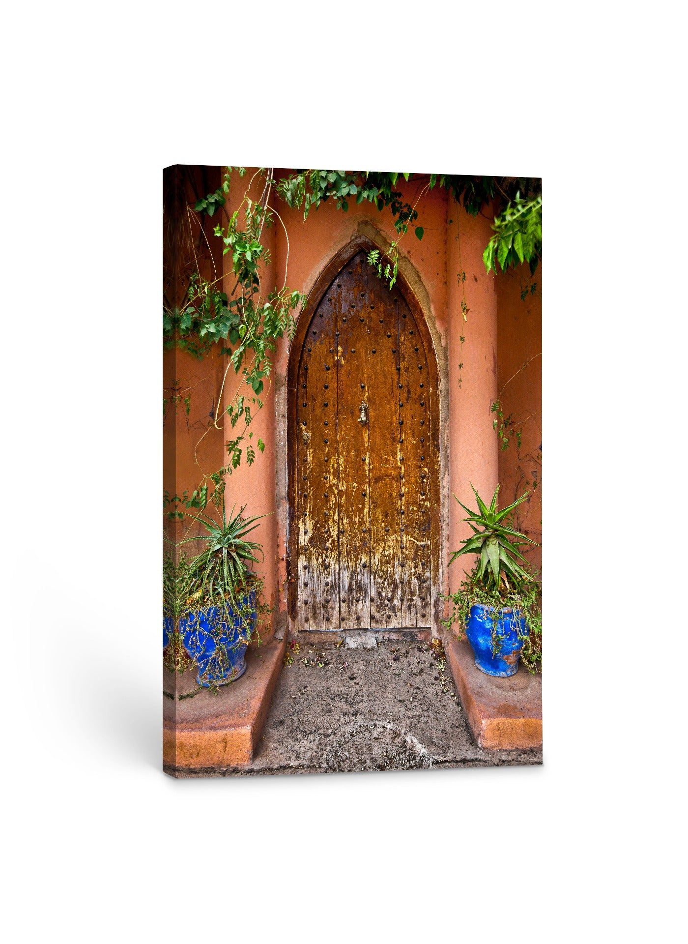 Door with Blue Pots 24x36"