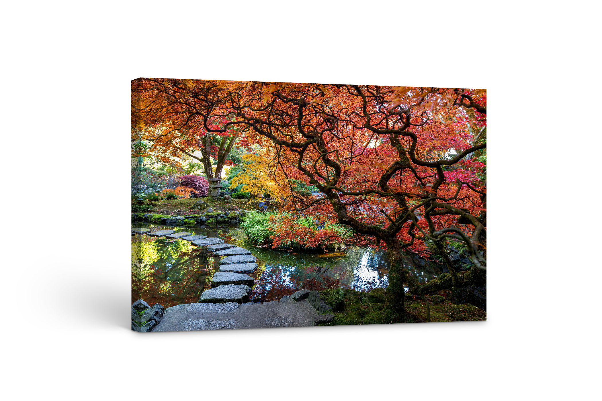 Autumn Path 24x36"