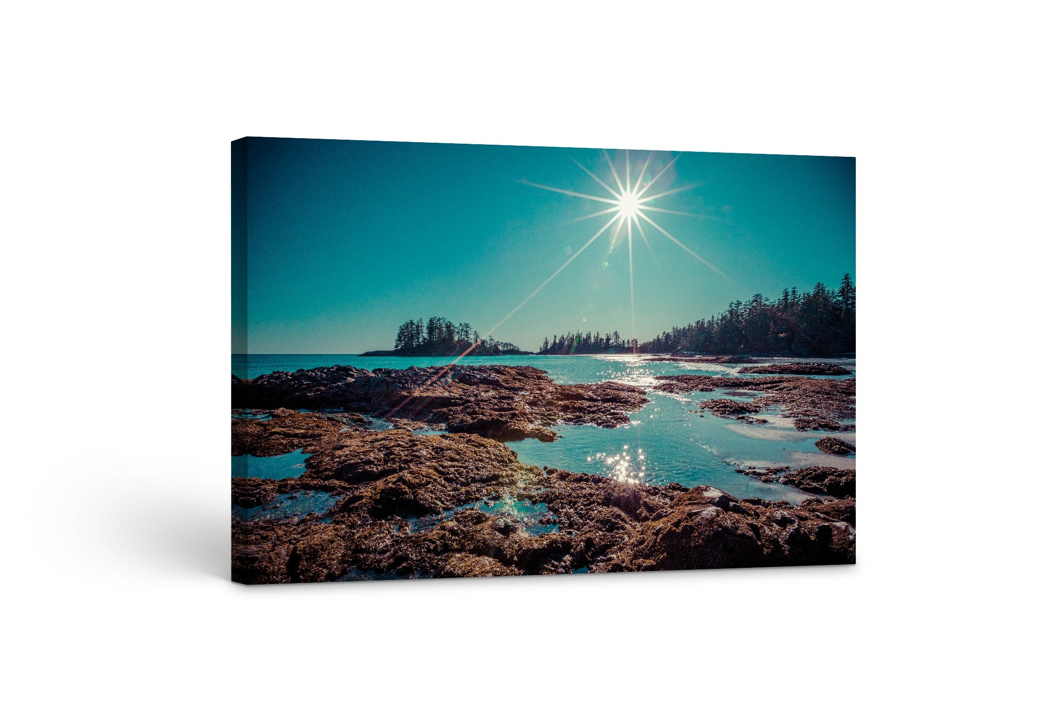 West Coast Day 40x60"