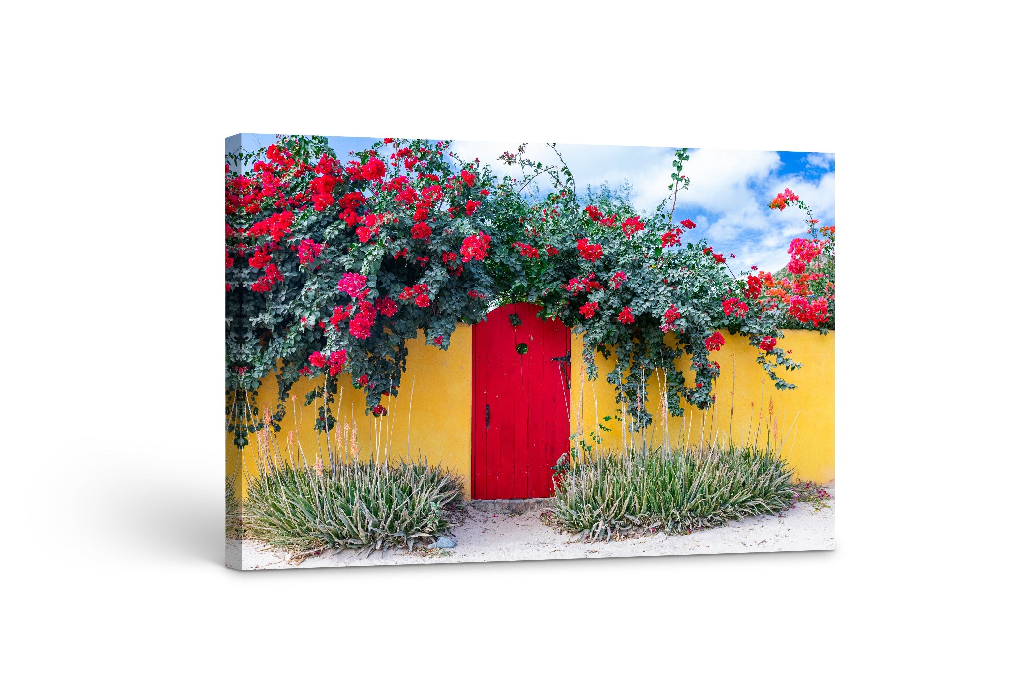 Mexican Doorway 24x36"