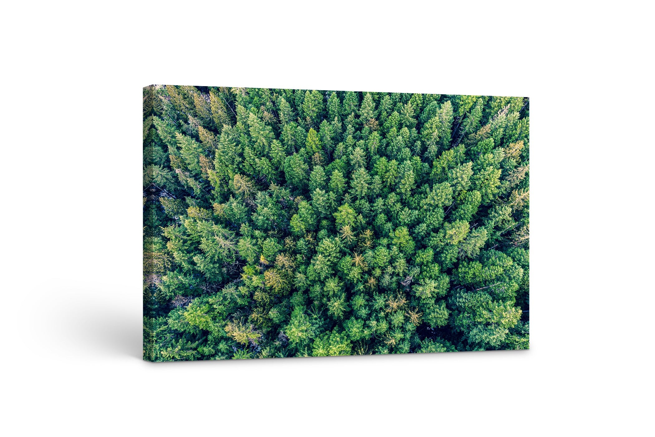 Cumberland Forest Aerial 24x36"