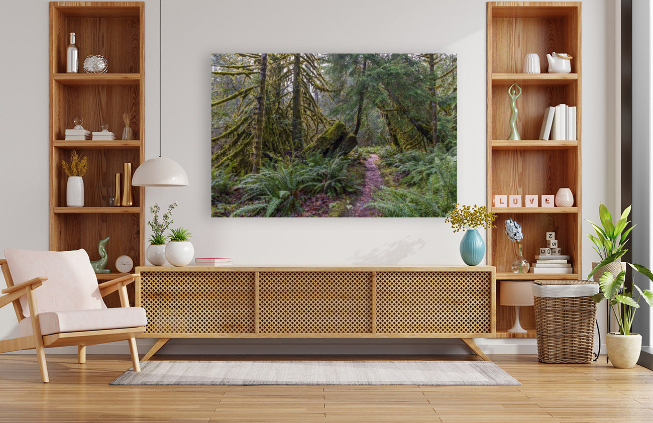 Rainforest Walk 40x60"