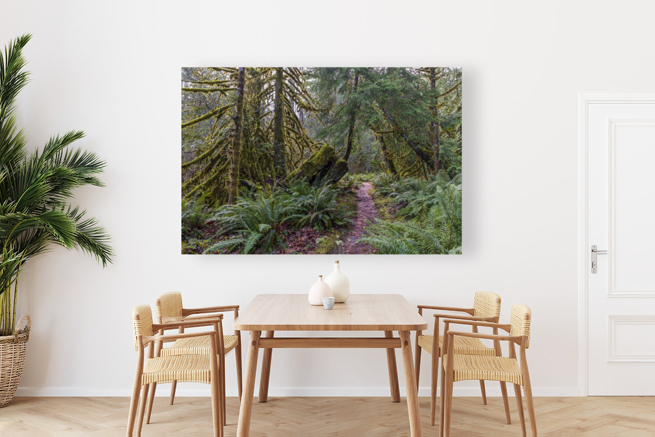 Rainforest Walk 40x60"