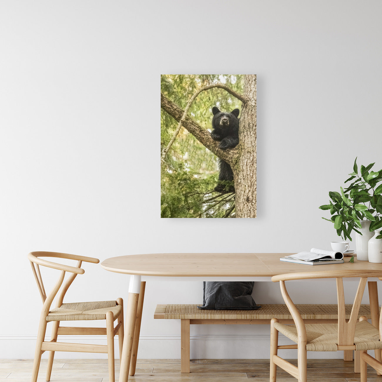 Black Bear Cub 24x36"
