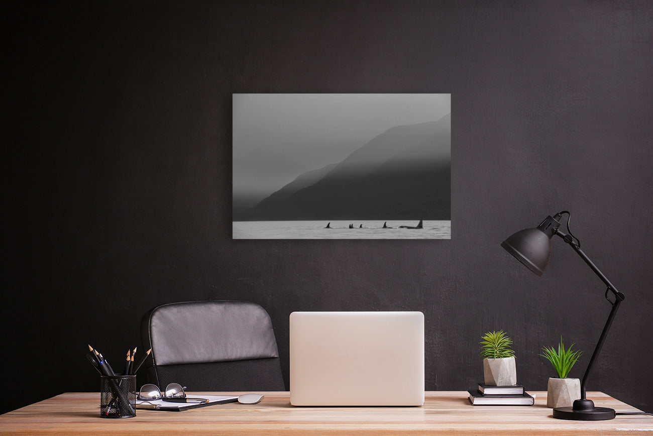 Orcas in the Mist 24x36"