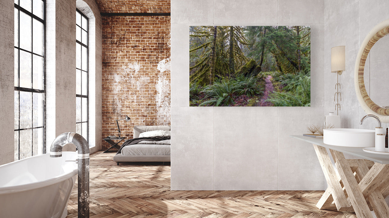 Rainforest Walk 40x60"