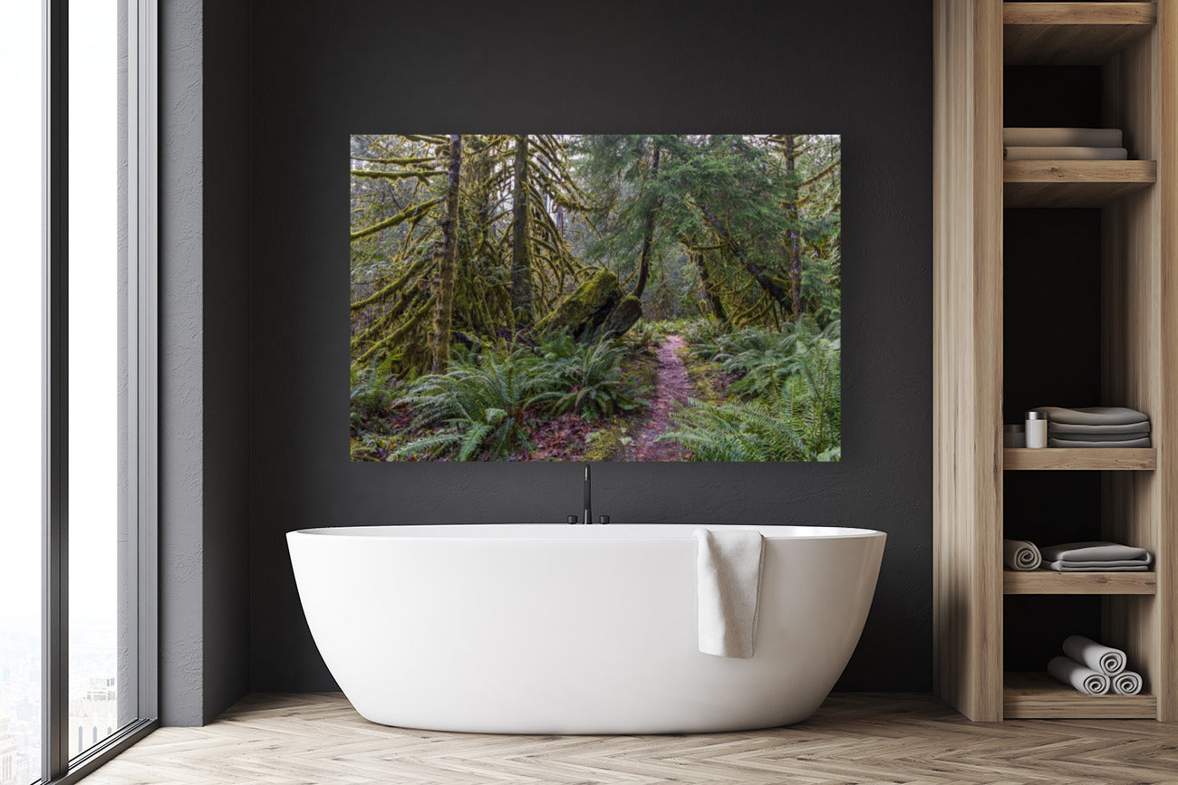 Rainforest Walk 40x60"