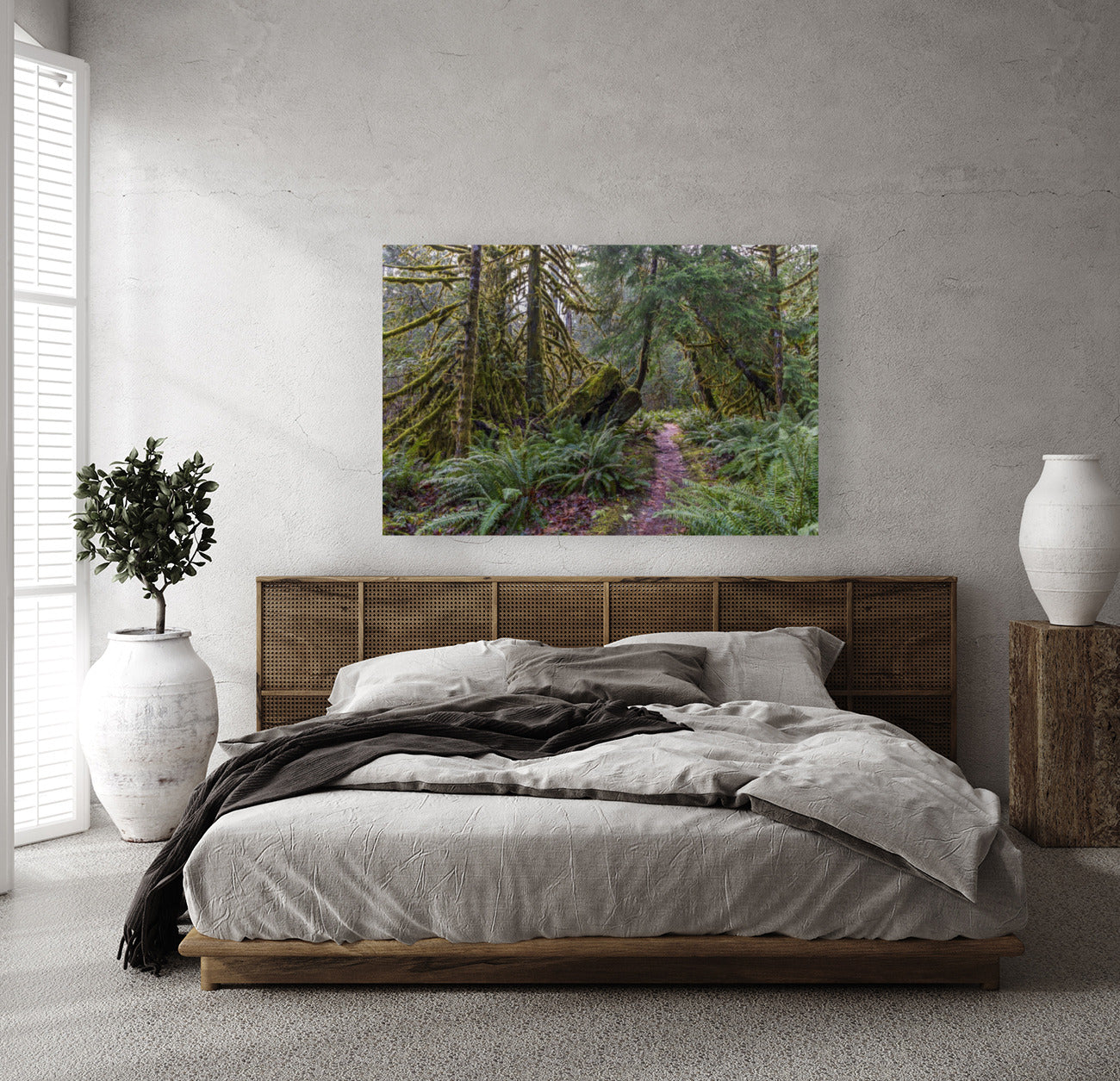 Rainforest Walk 40x60"