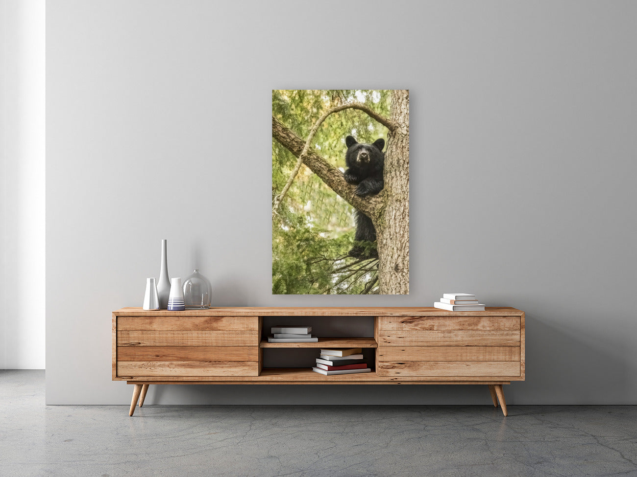 Black Bear Cub 24x36"