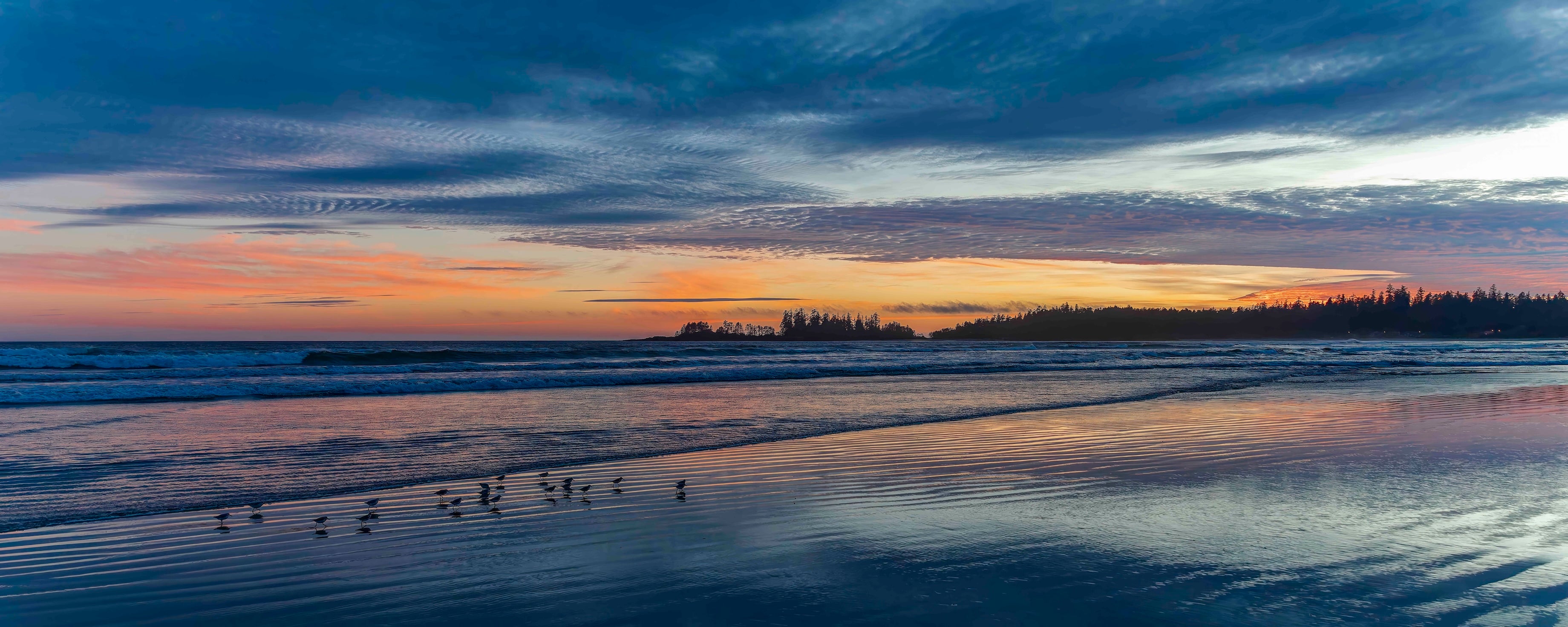 Tofino Long Beach Panorama 24x60"
