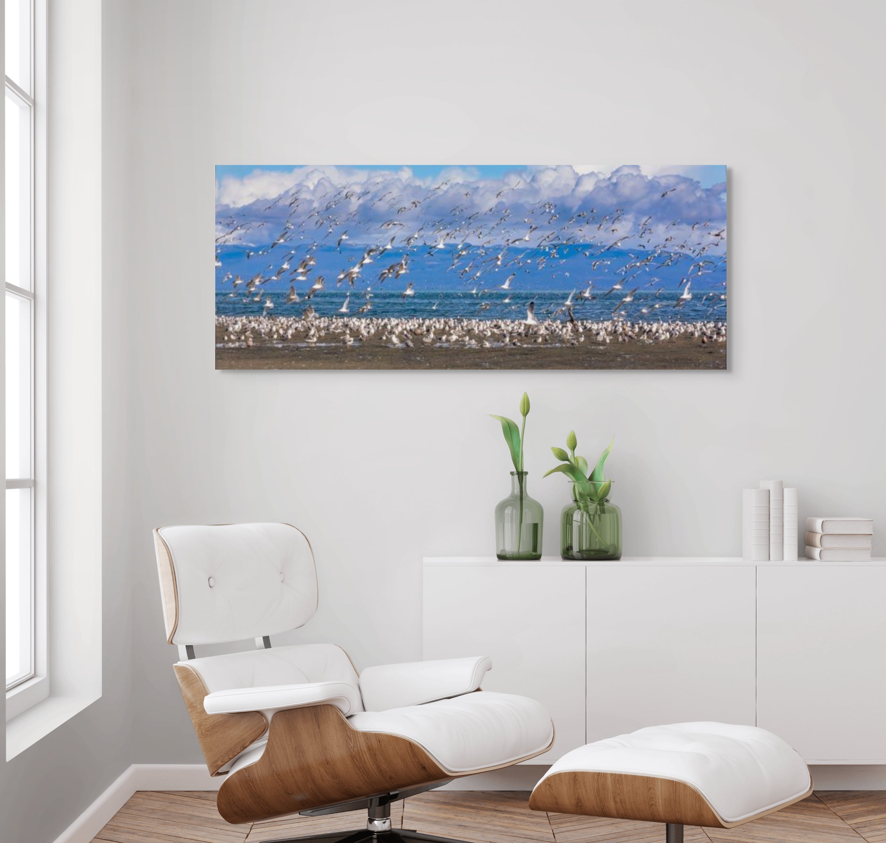 Seagulls at Kye Bay, Panorama 24x60"