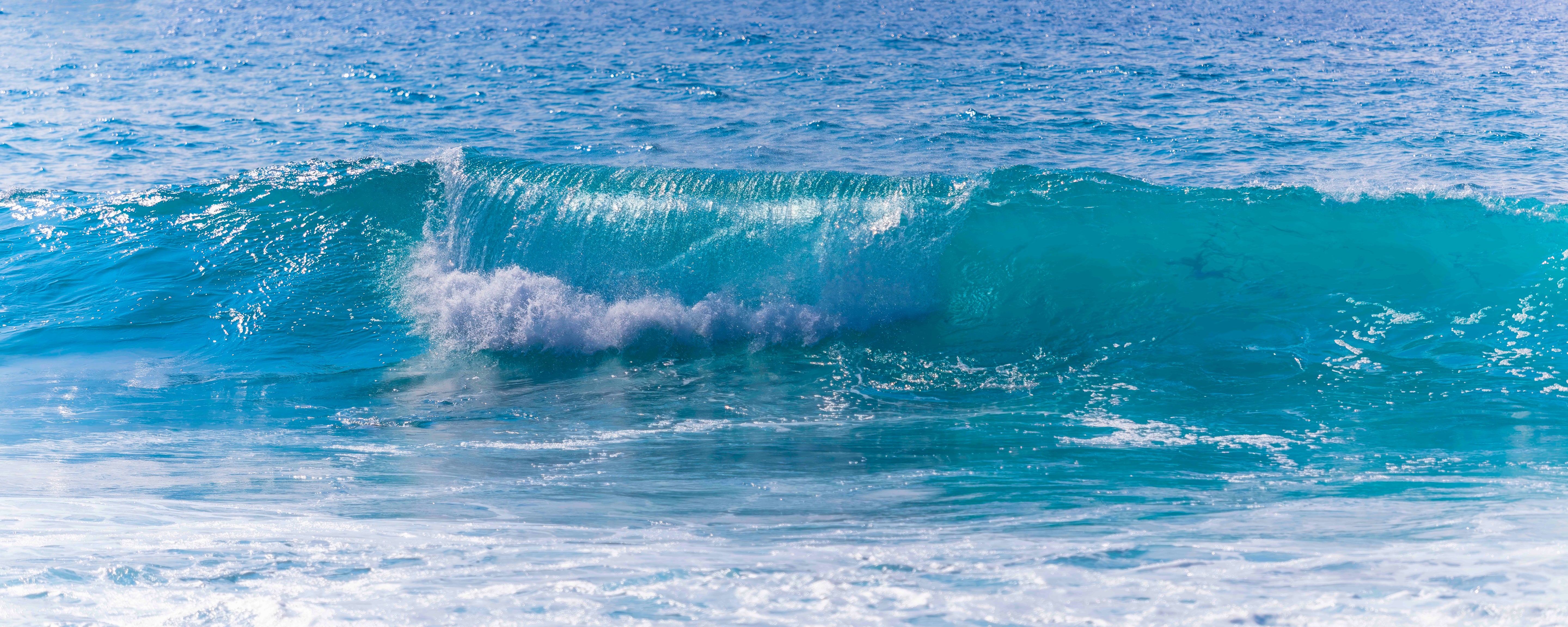 Blue Wave Panorama 24x60"