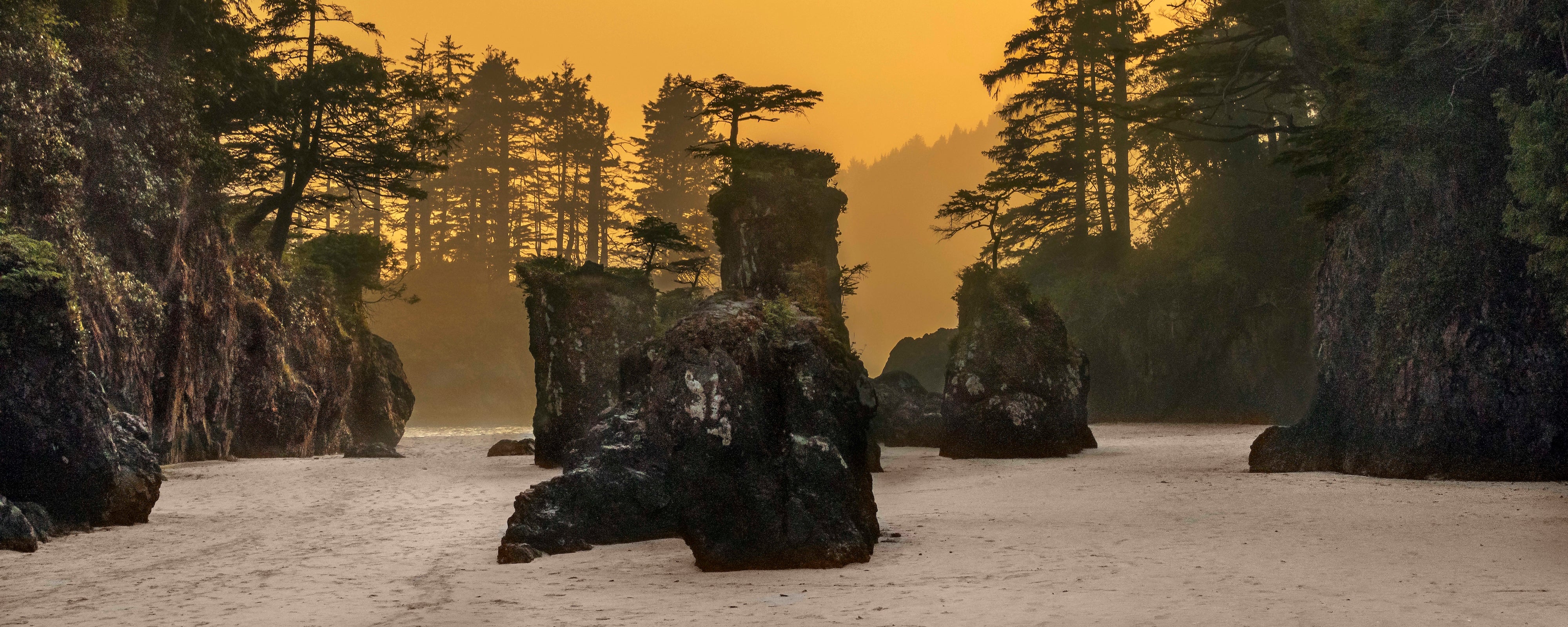 San Josef Bay Sea Stacks Panorama 24x60"