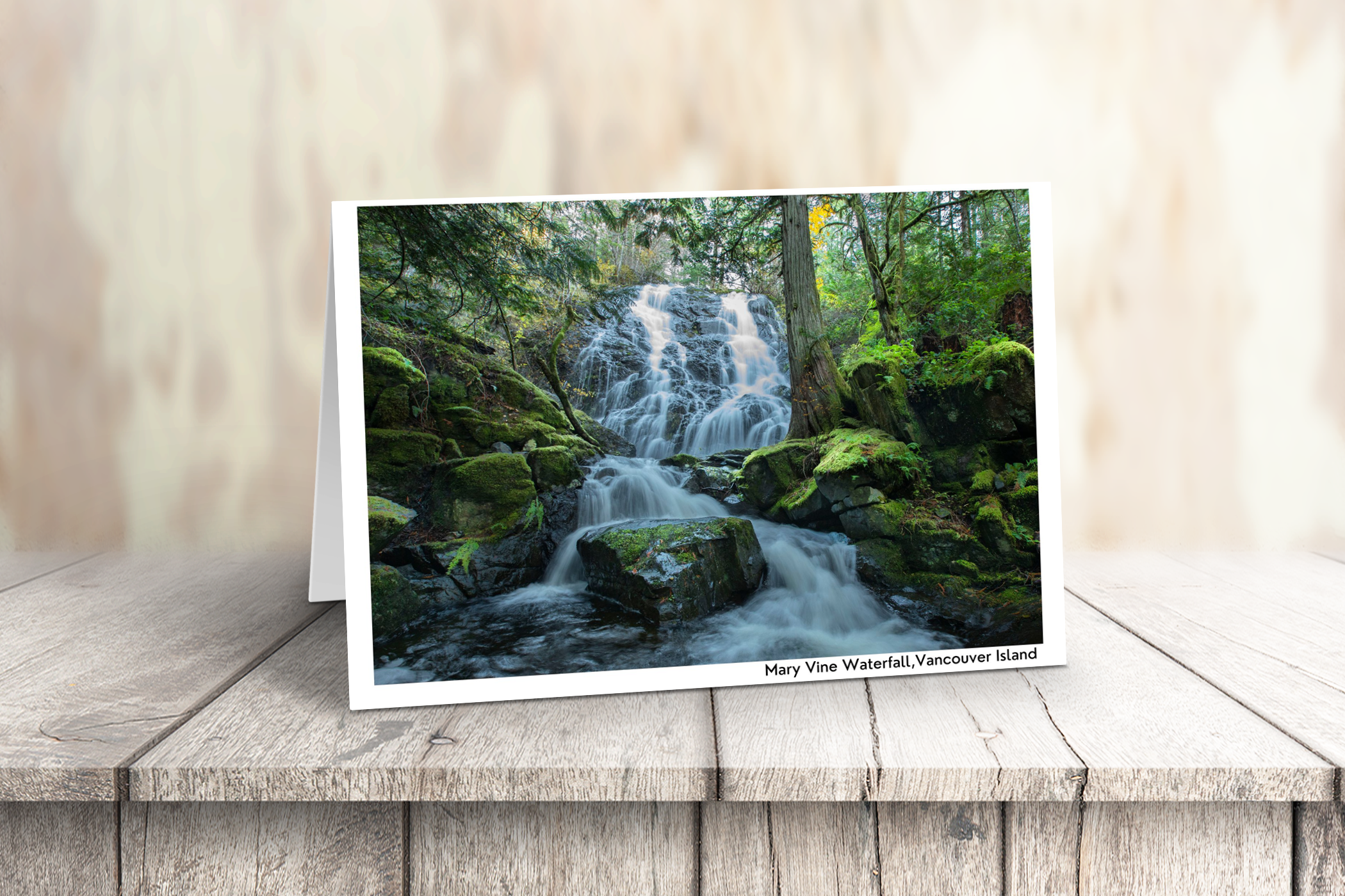 Vancouver Island Art Cards - Box of 10