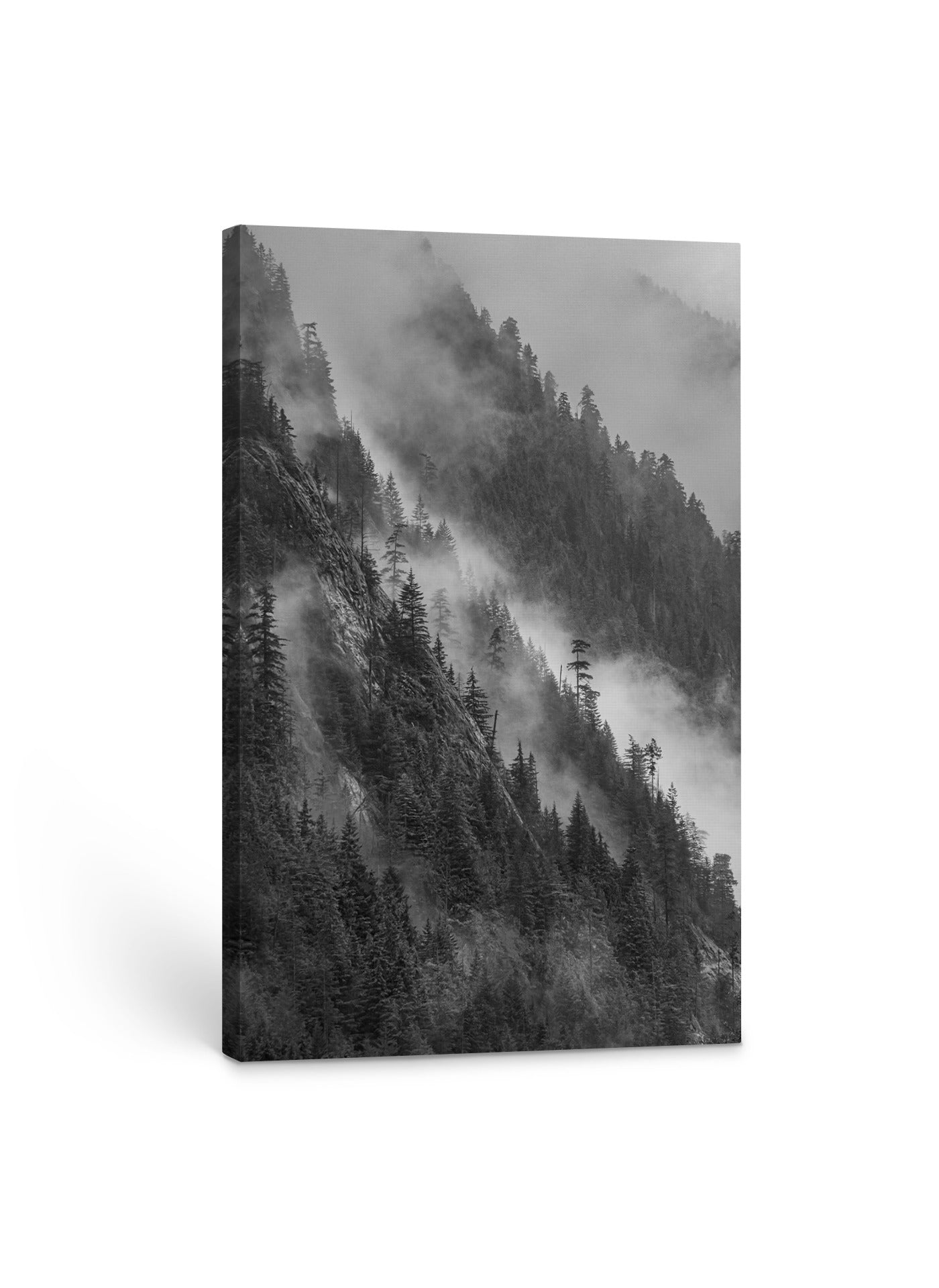 Mist on the Mountain B&W 24x36"