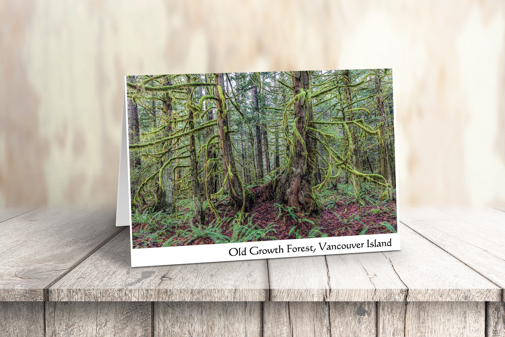 Vancouver Island Art Cards - Box of 10