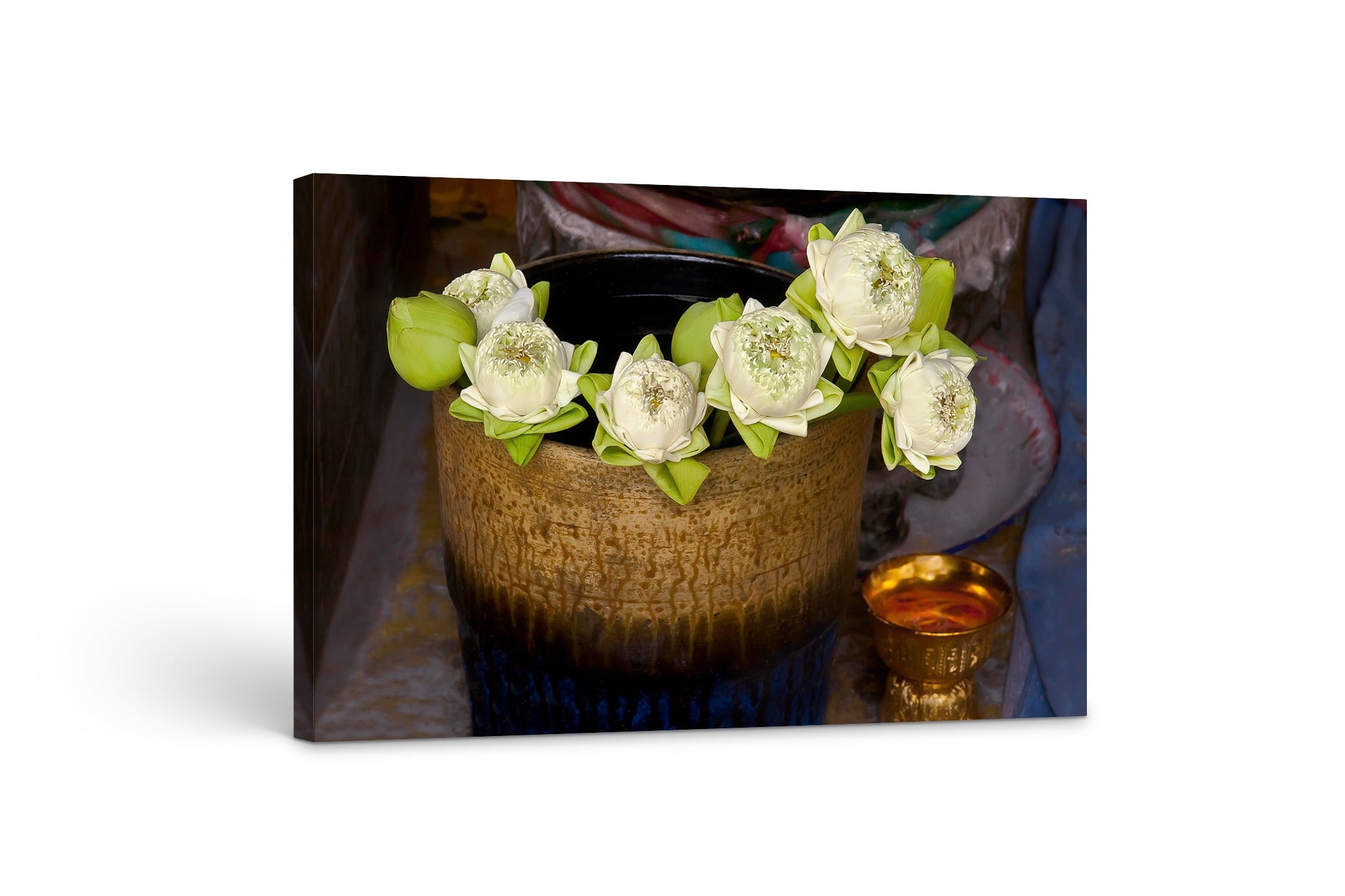 Lotus Offerings 38x54"