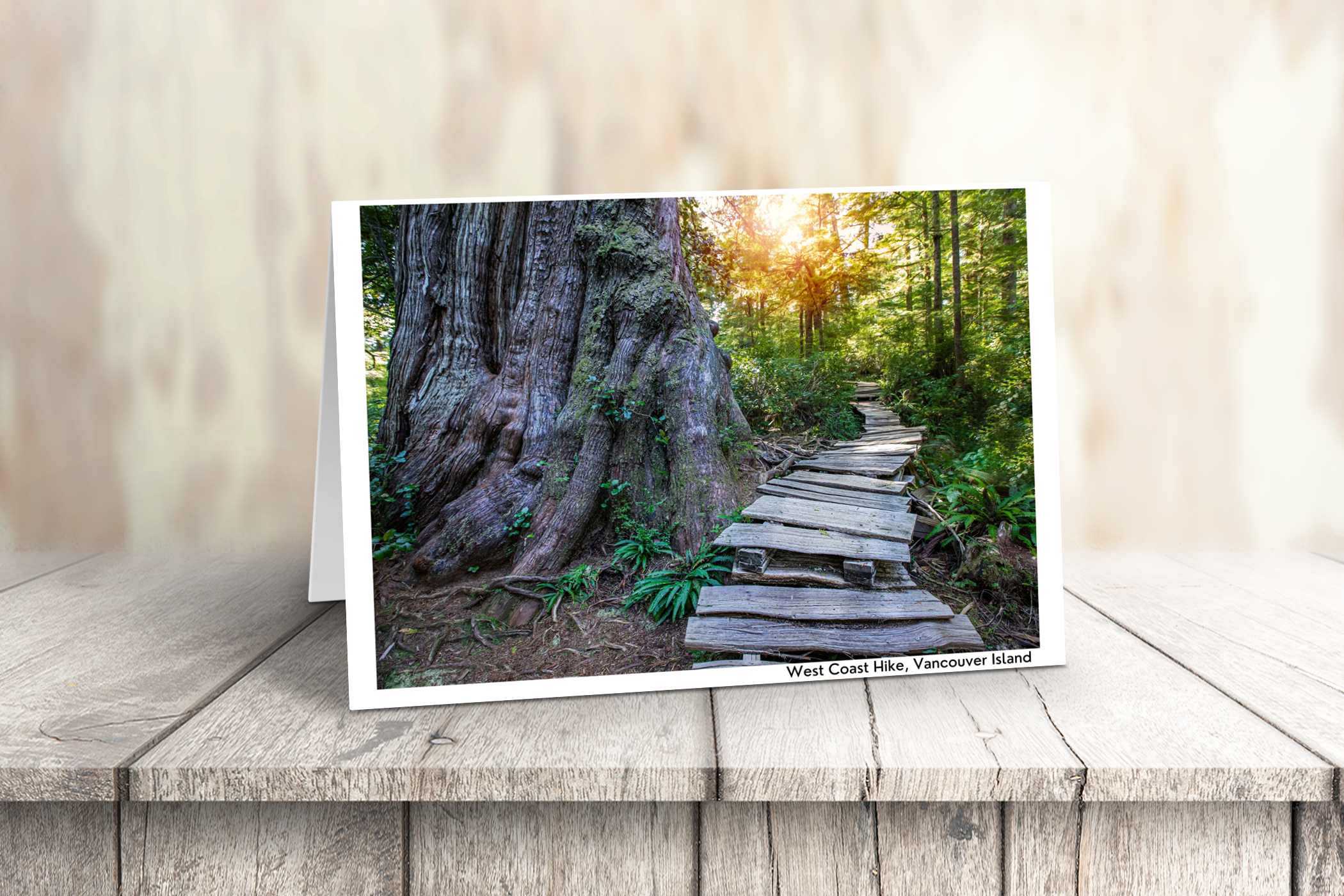 Vancouver Island Art Cards - Box of 10