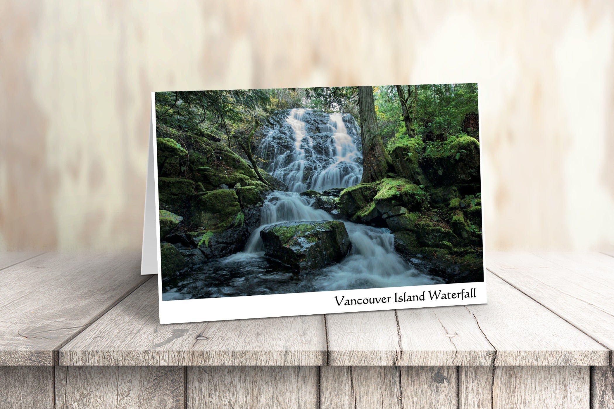 Vancouver Island Art Cards - Box of 10