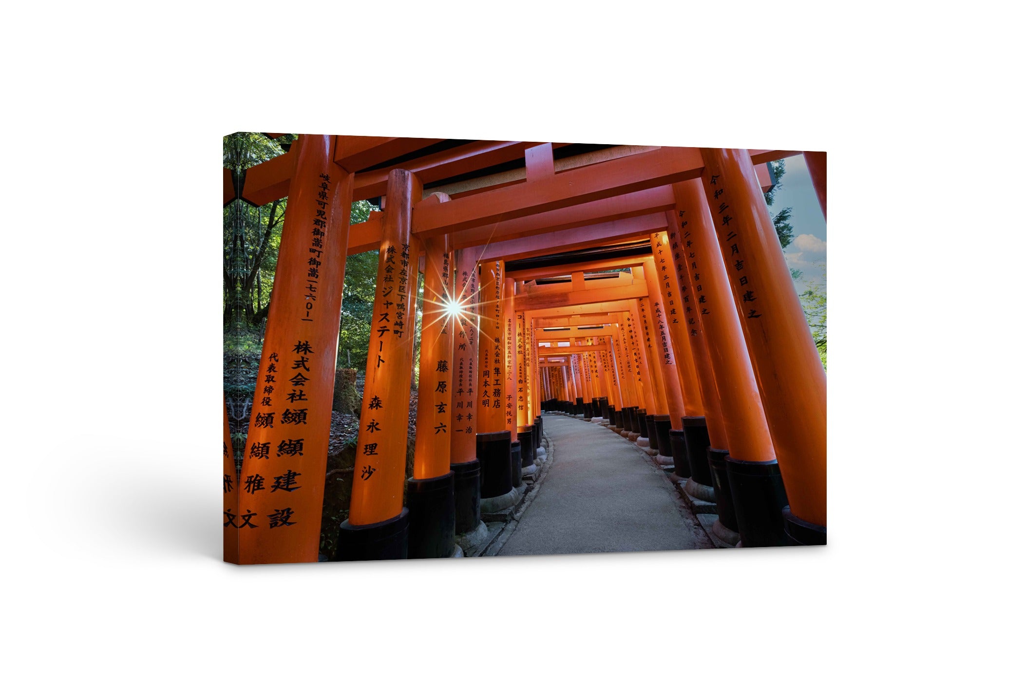 Fushimi Inari Sunburst 24x36"