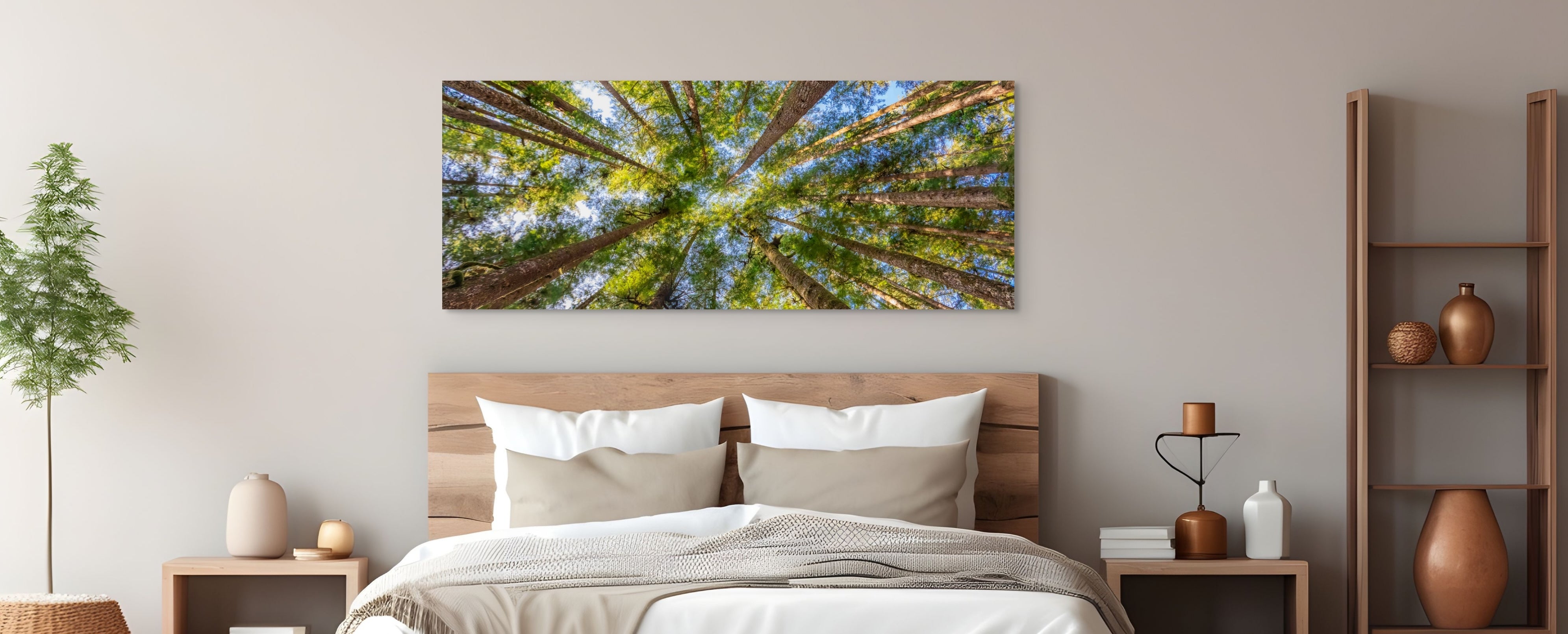 Tree Canopy, Panorama 24x60"