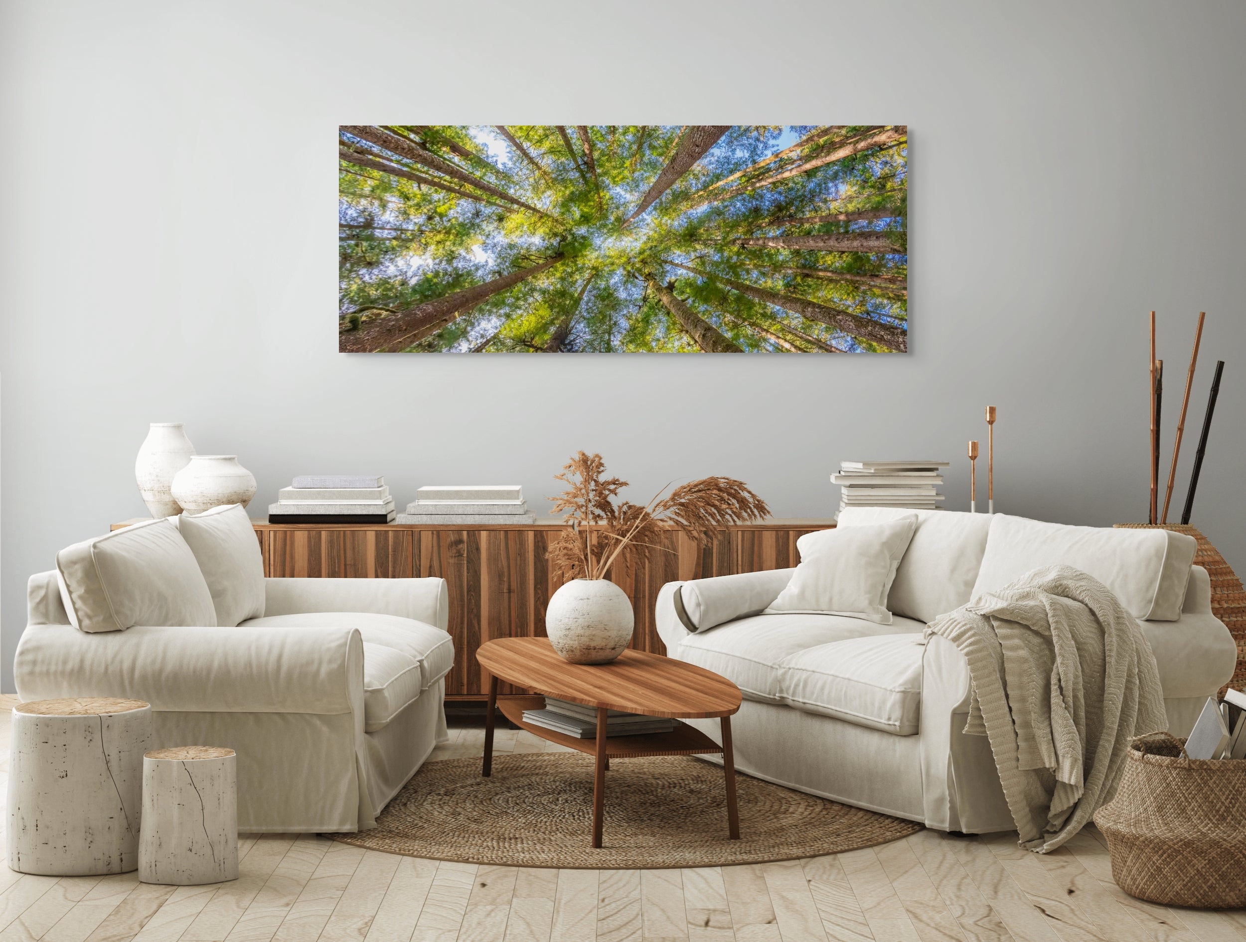 Tree Canopy, Panorama 24x60"