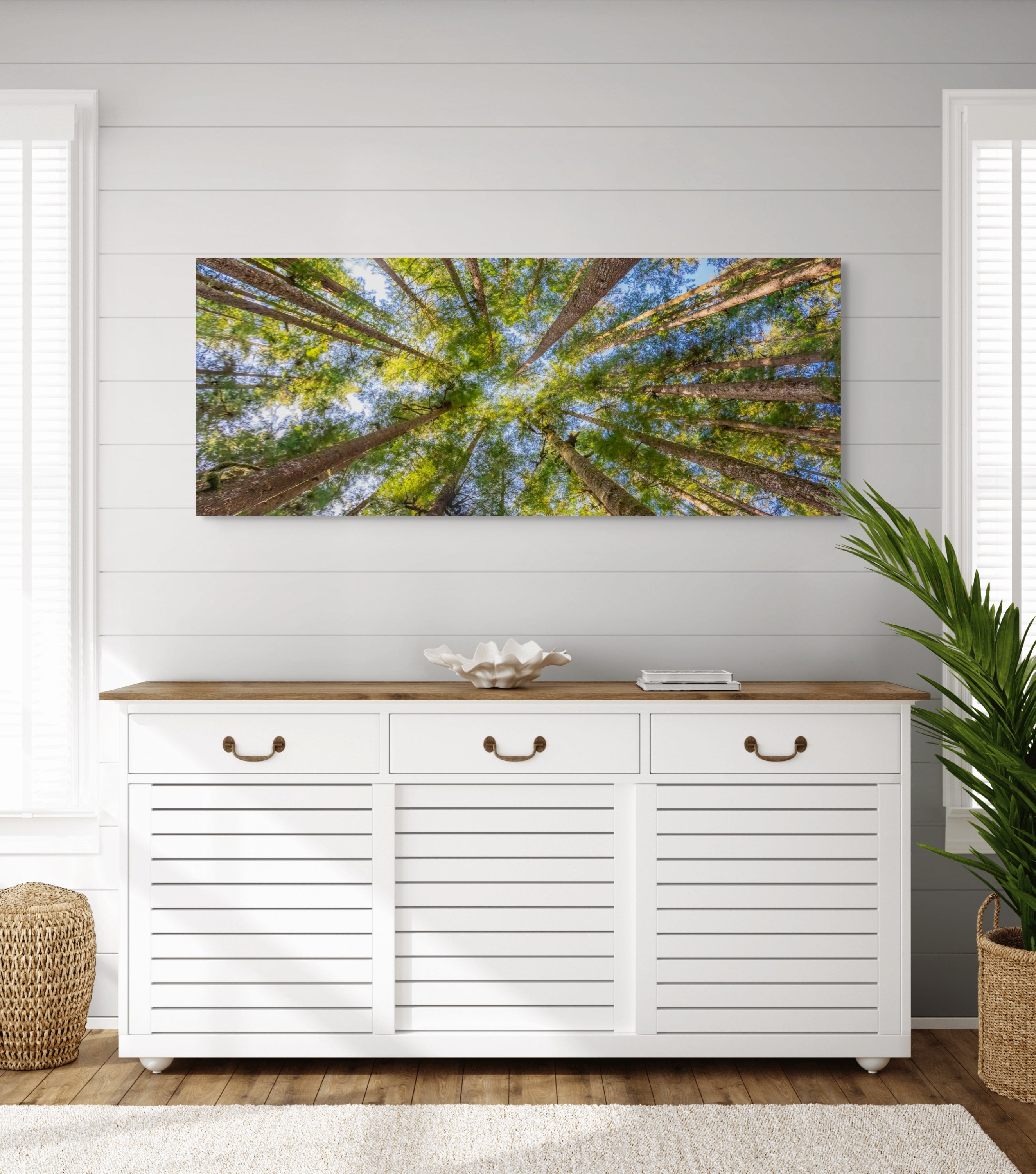 Tree Canopy, Panorama 24x60"