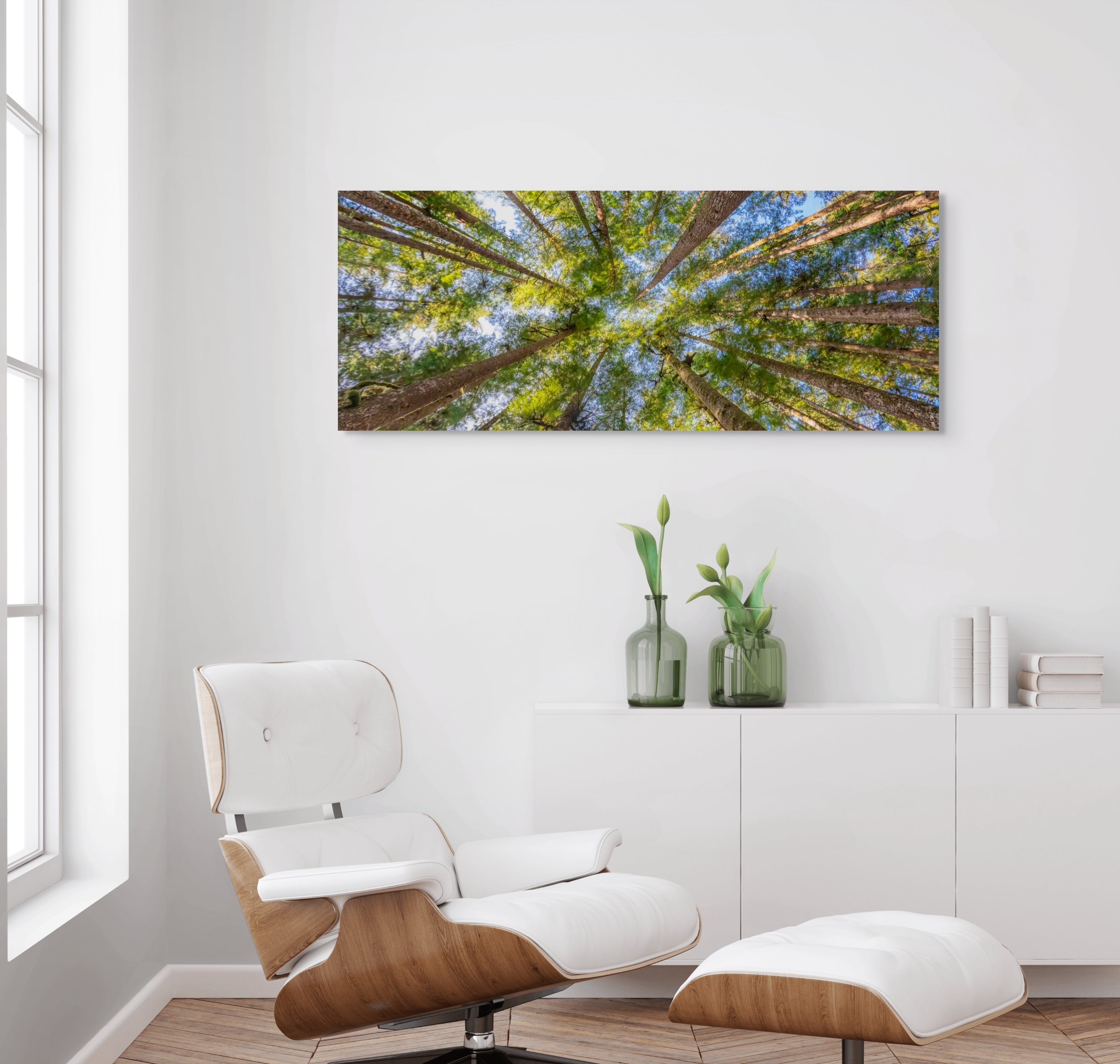 Tree Canopy, Panorama 24x60"