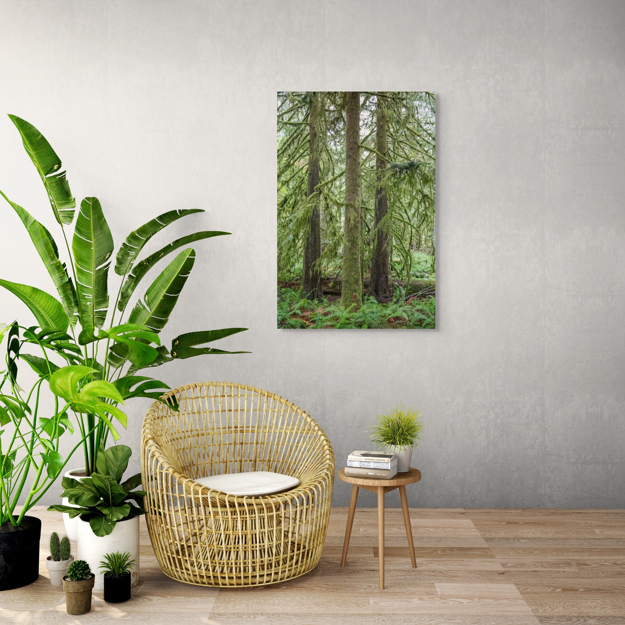 Mossy Tree Trio 24x36"