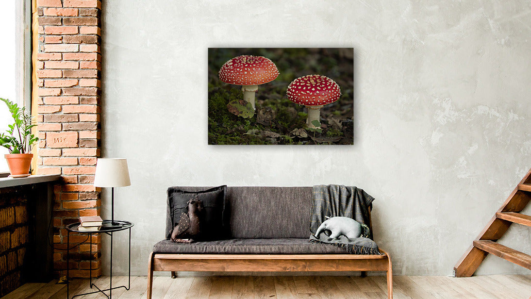 Fairy Mushrooms 24x36"