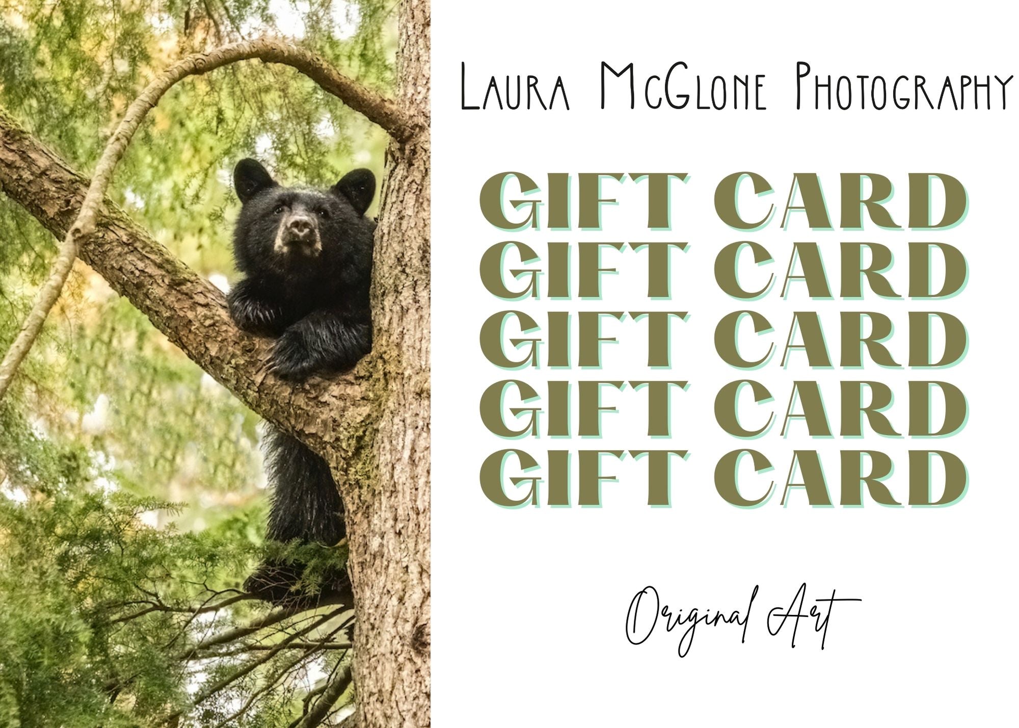 Laura McGlone Photography Gift Card
